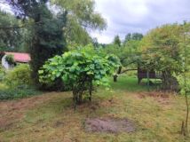 Działka rod Goleniów, ul. Wojska Polskiego. Zdjęcie 3