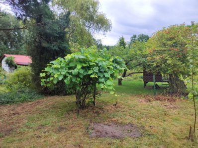 Działka rod Goleniów, ul. Wojska Polskiego. Zdjęcie 4