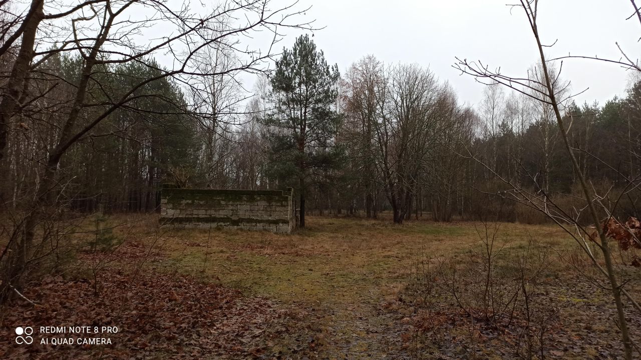 Działka inna Popielżyn Dolny. Zdjęcie 5