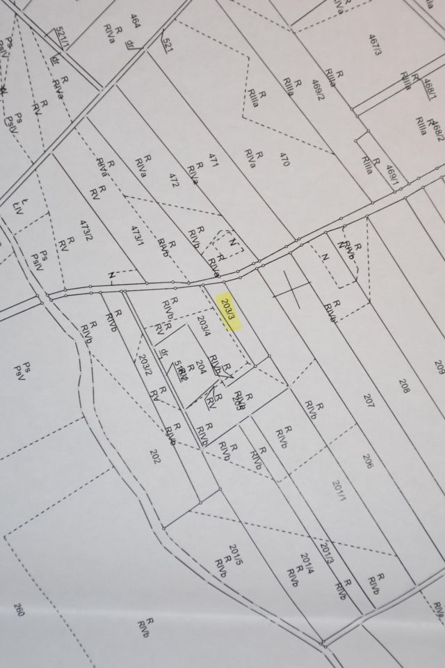 Działka rolna Bielice. Zdjęcie 5