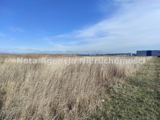Działka inwestycyjna Świebodzice Ciernie, ul. Przemysłowa. Zdjęcie 5
