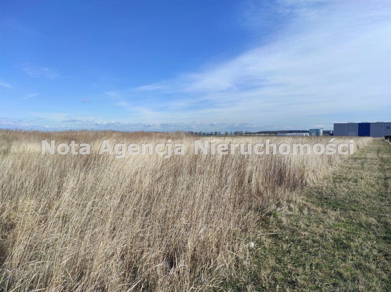 Działka inwestycyjna Świebodzice Ciernie, ul. Przemysłowa. Zdjęcie 5