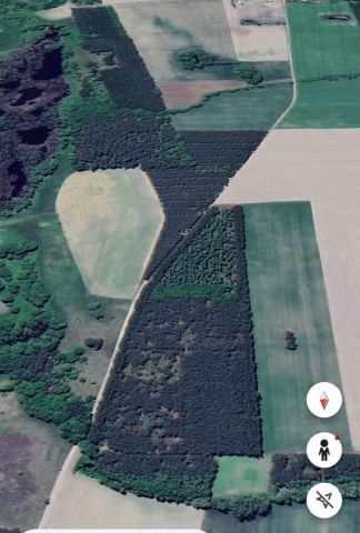 Działka leśna Pyszkowo. Zdjęcie 1