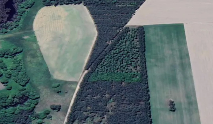 Działka leśna Pyszkowo