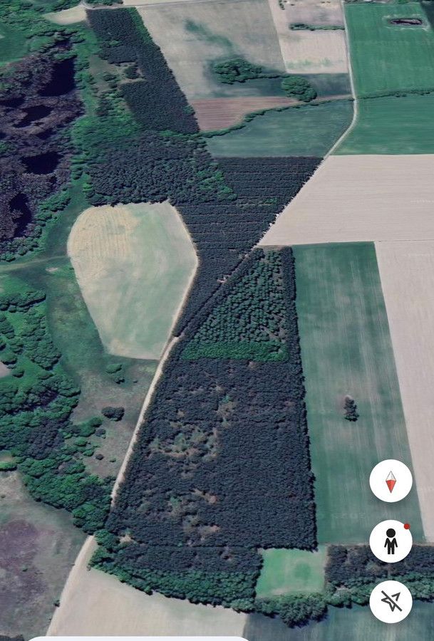 Działka leśna Pyszkowo