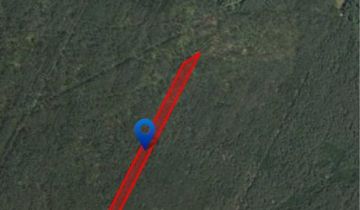 Działka leśna Policzna