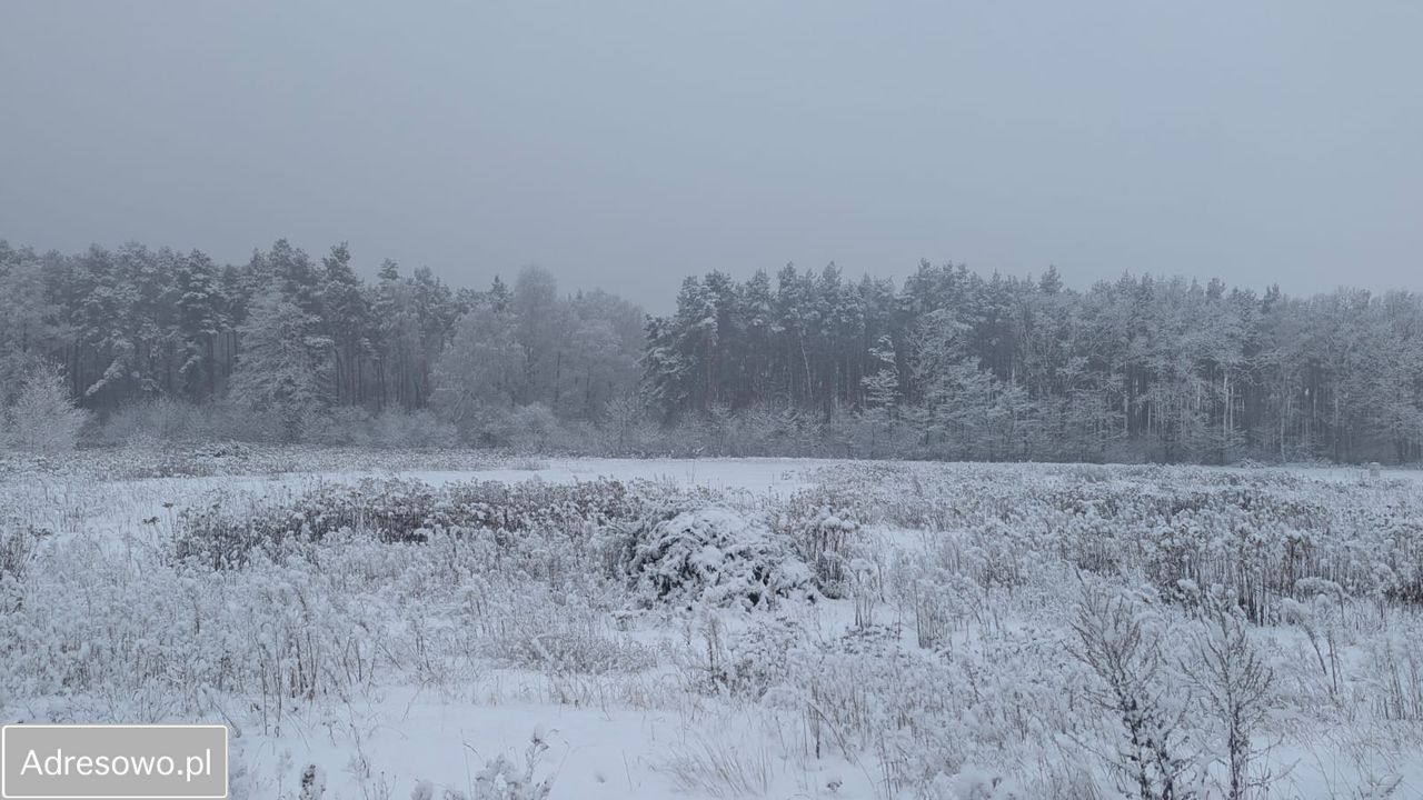 Działka budowlana Emilianów. Zdjęcie 2