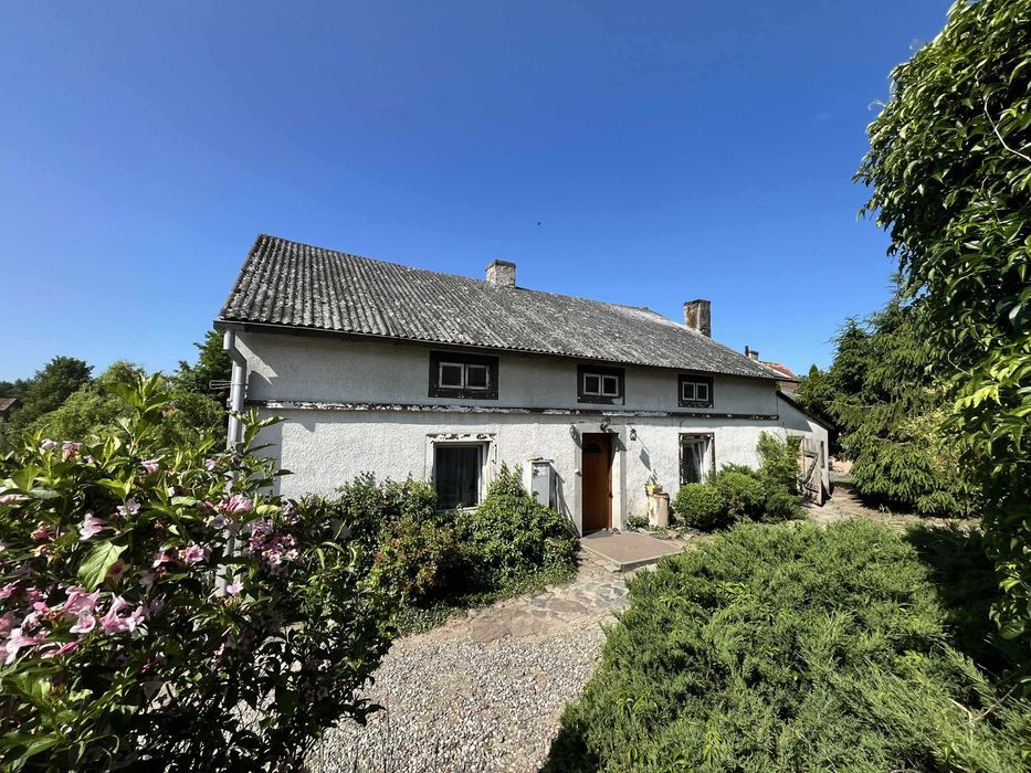 Działka rolna Bażyny. Zdjęcie 6