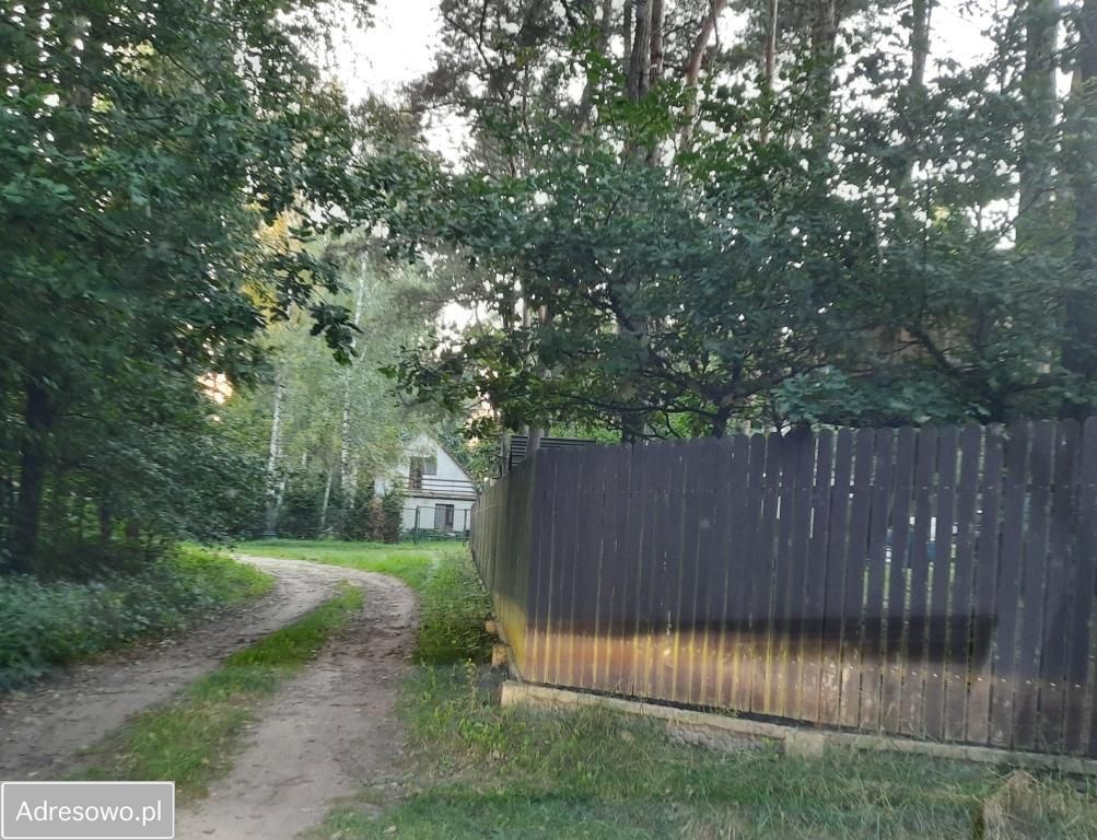 Działka leśna Słopsk. Zdjęcie 12