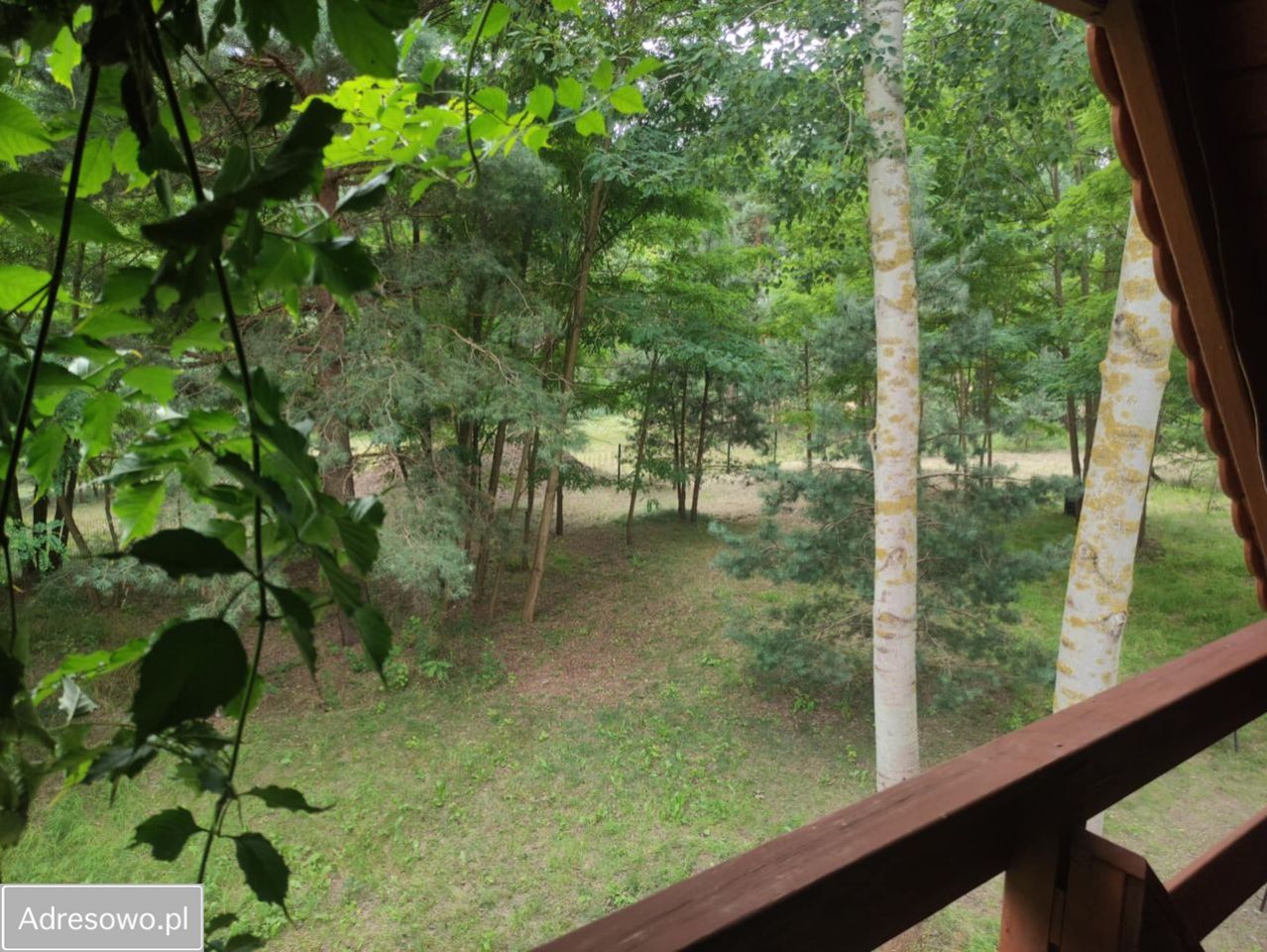 Działka rekreacyjna Wądzyn. Zdjęcie 6