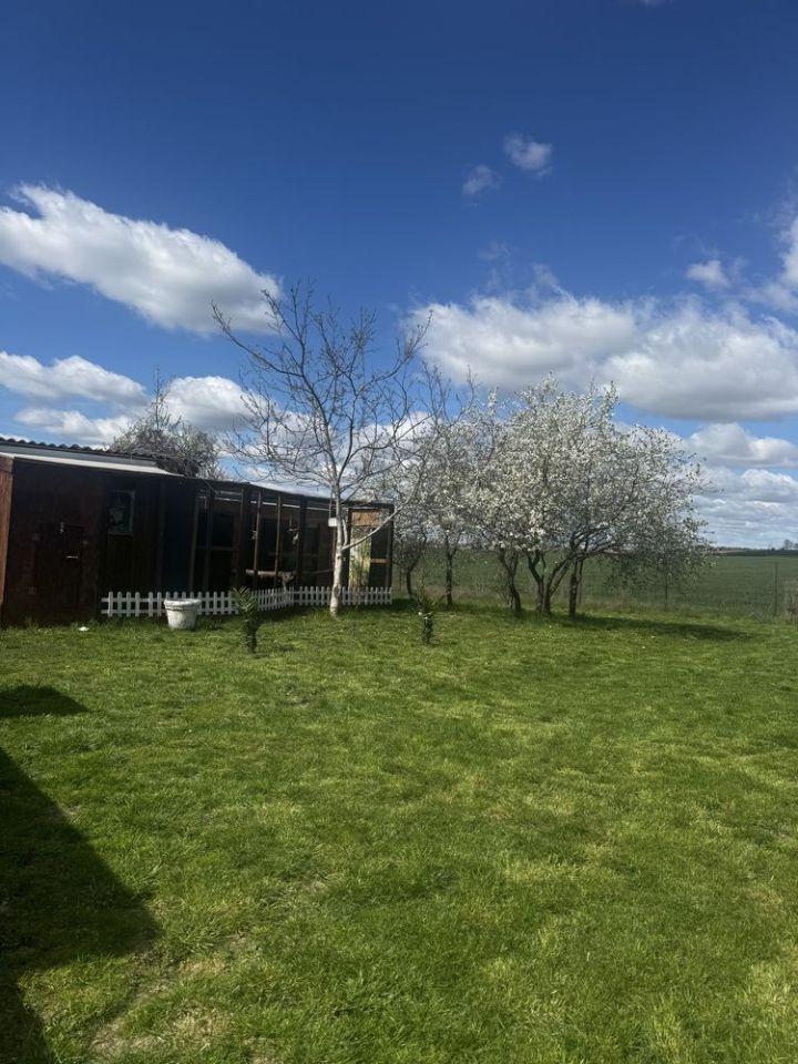 dom wolnostojący Dobużek-Kolonia. Zdjęcie 4