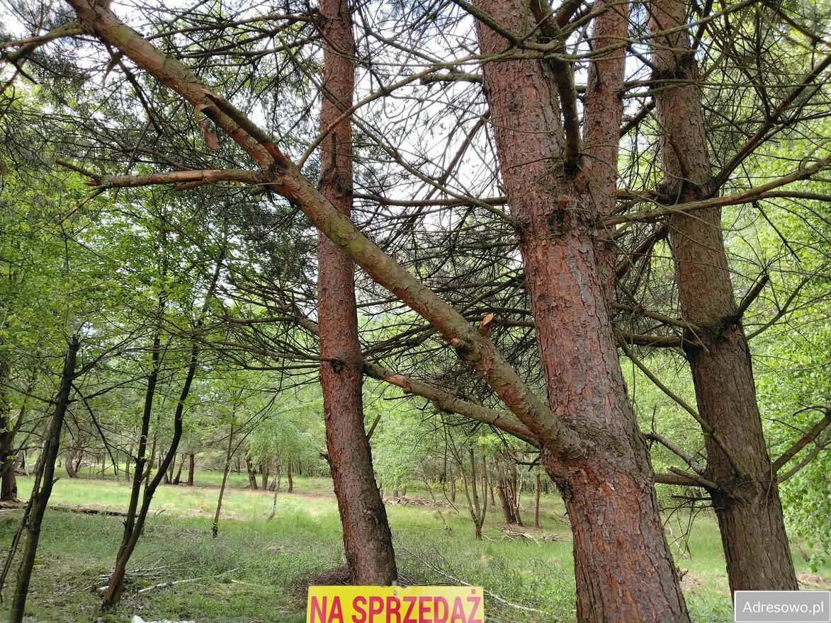 Działka budowlana Bratucice. Zdjęcie 5