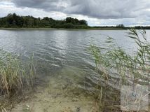 Działka rekreacyjna Jelenin. Zdjęcie 4