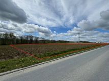 Działka inwestycyjna Międzyrzecze Dolne. Zdjęcie 3