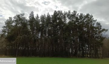 Działka leśna Turze