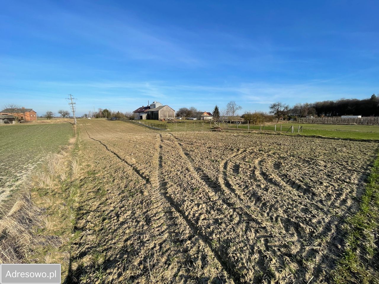 Działka rolno-budowlana Ludwin-Kolonia. Zdjęcie 4