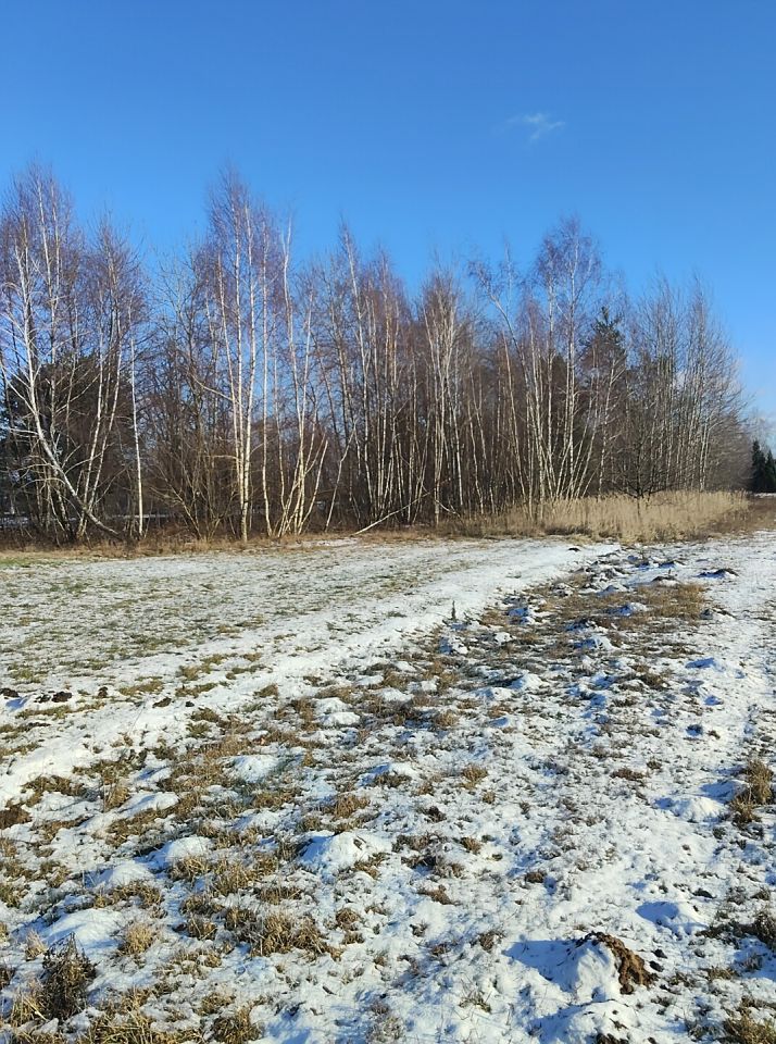 Działka budowlana Borów Nowy Borów. Zdjęcie 9