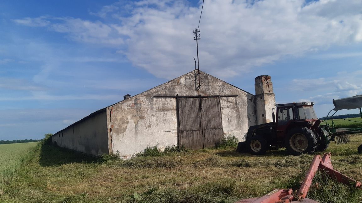 Lokal Korfantów. Zdjęcie 3