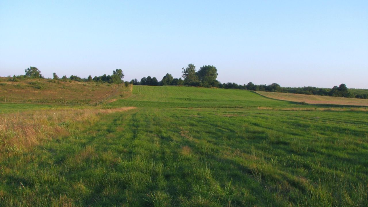 Działka siedliskowa Biała. Zdjęcie 3