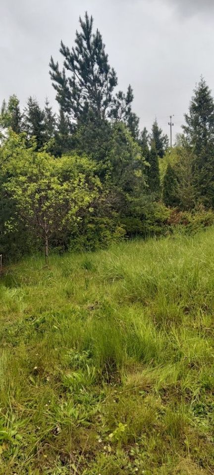 Działka rod Gdańsk Rębiechowo. Zdjęcie 6