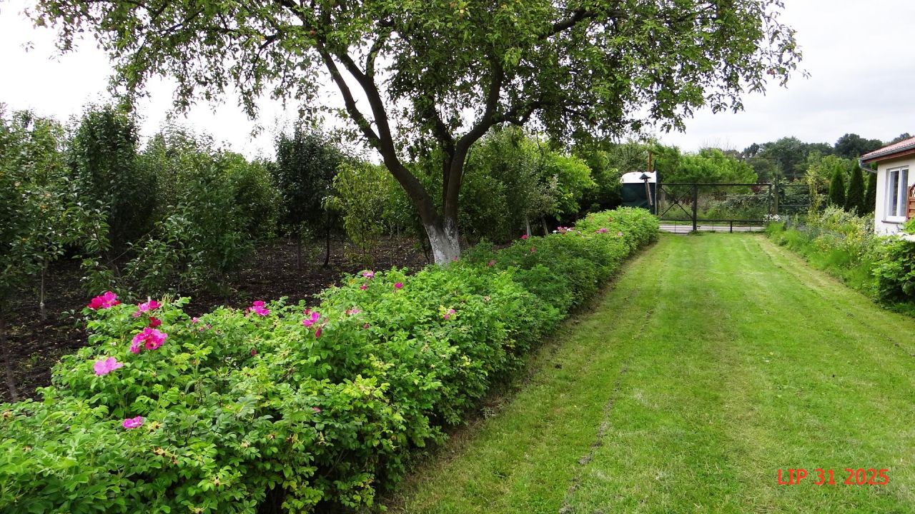 Działka rod Piła Centrum, ul. Różyckiego. Zdjęcie 3