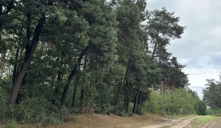 Działka budowlana Szeligi