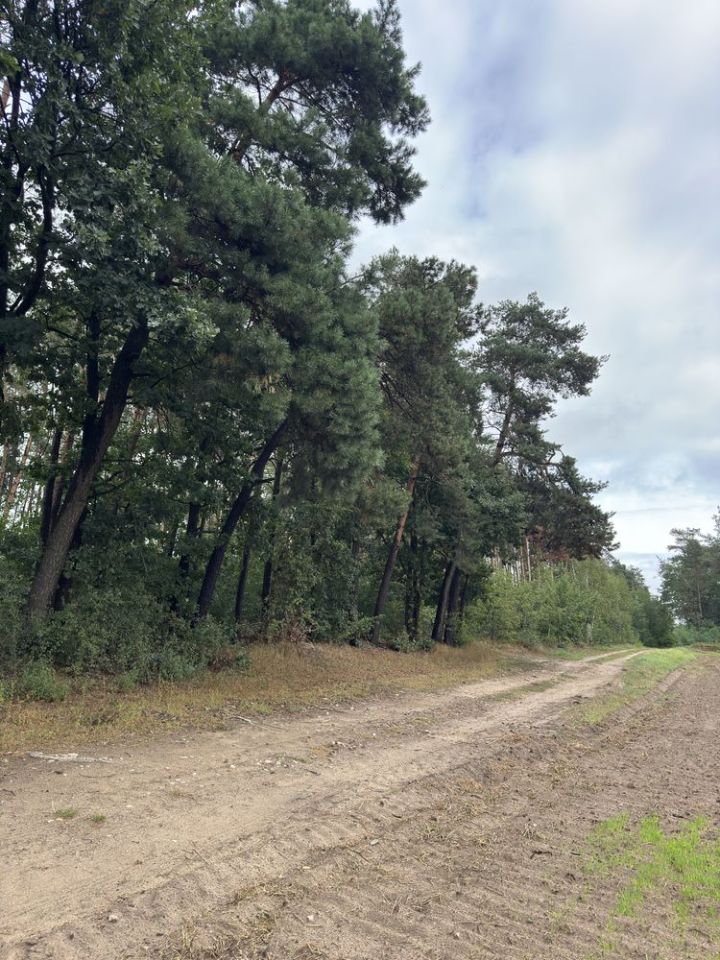 Działka budowlana Szeligi