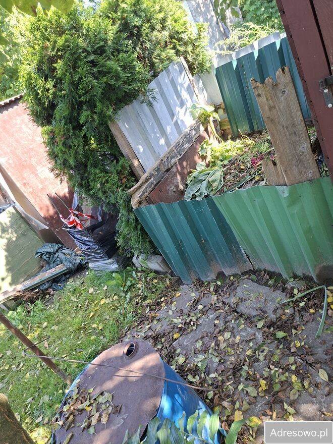 Działka rod Nowa Wieś Malborska. Zdjęcie 11