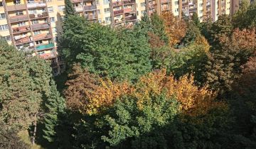 Mieszkanie 2-pokojowe Kalisz Dobrzec, ul. Podmiejska