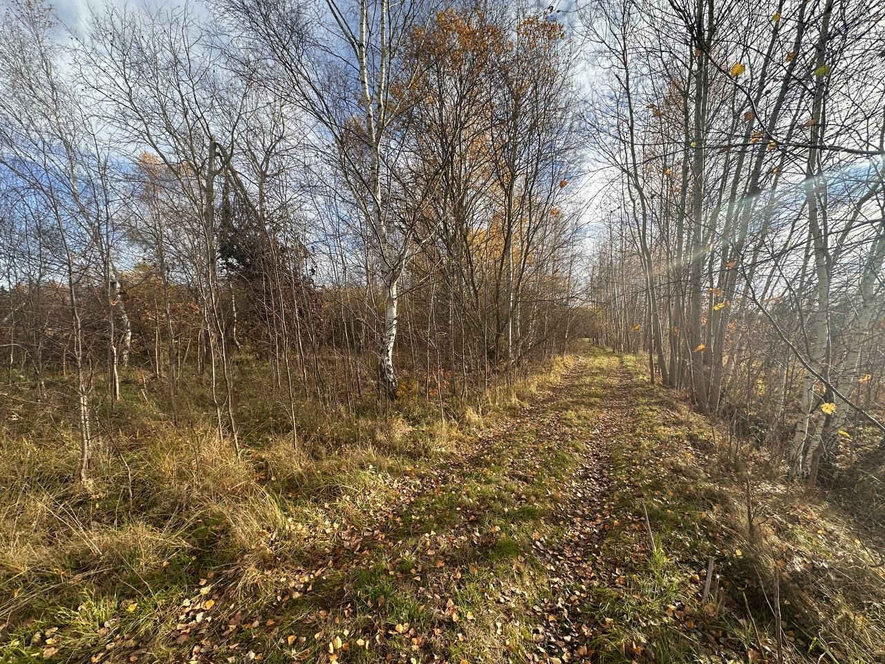 Działka budowlana Wymiarki. Zdjęcie 11