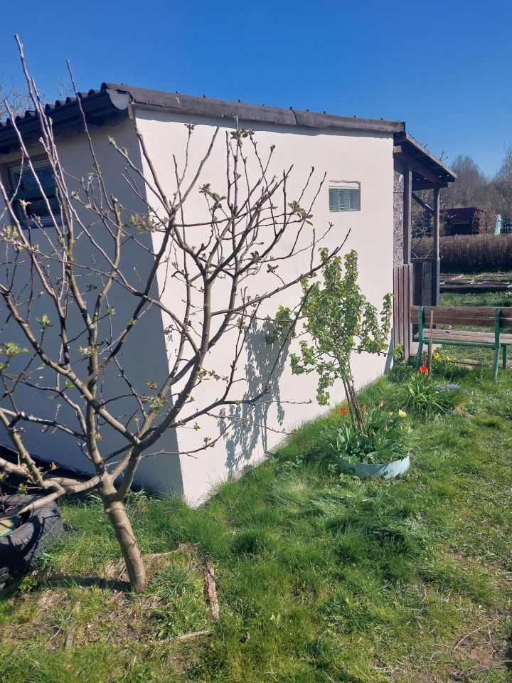 Działka rod Słupsk, ul. Gdańska. Zdjęcie 5