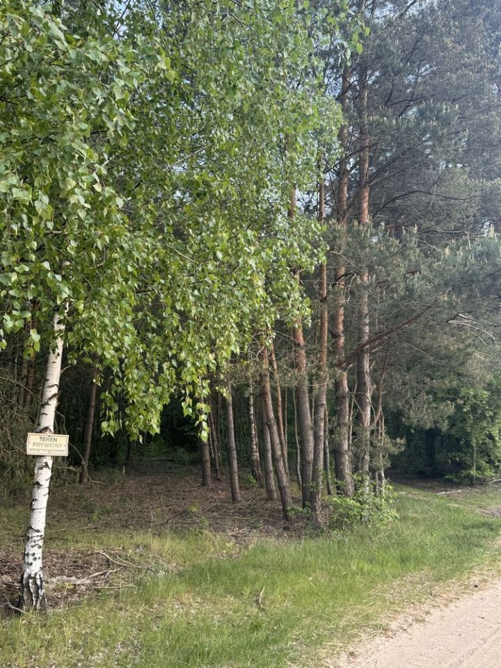 Działka rolna Nowe Naruszewo. Zdjęcie 3
