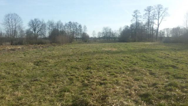 Działka budowlana Glinno. Zdjęcie 1