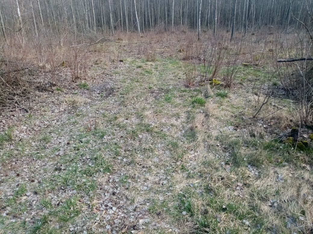 Działka inna Moczadła. Zdjęcie 2