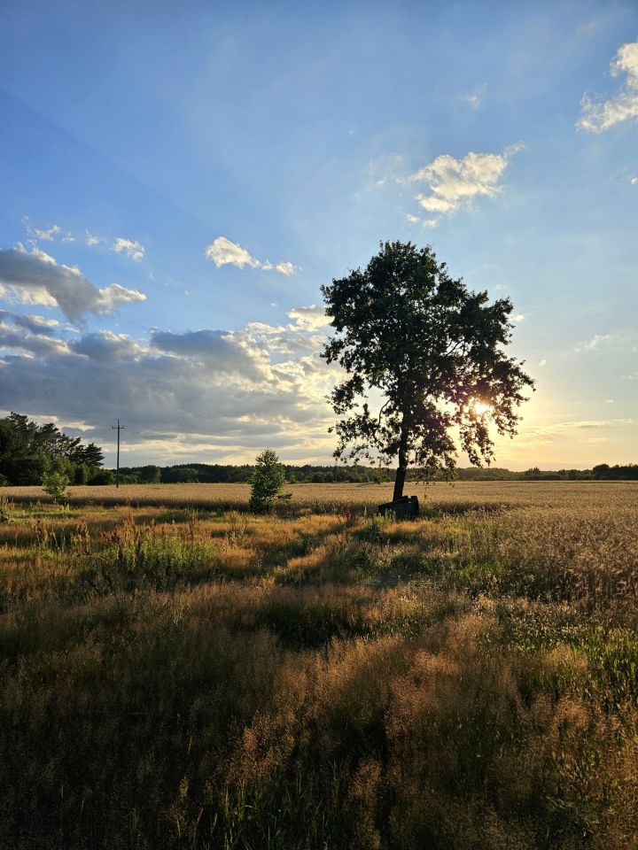 Działka budowlana Michałów, ul. Orzechowa