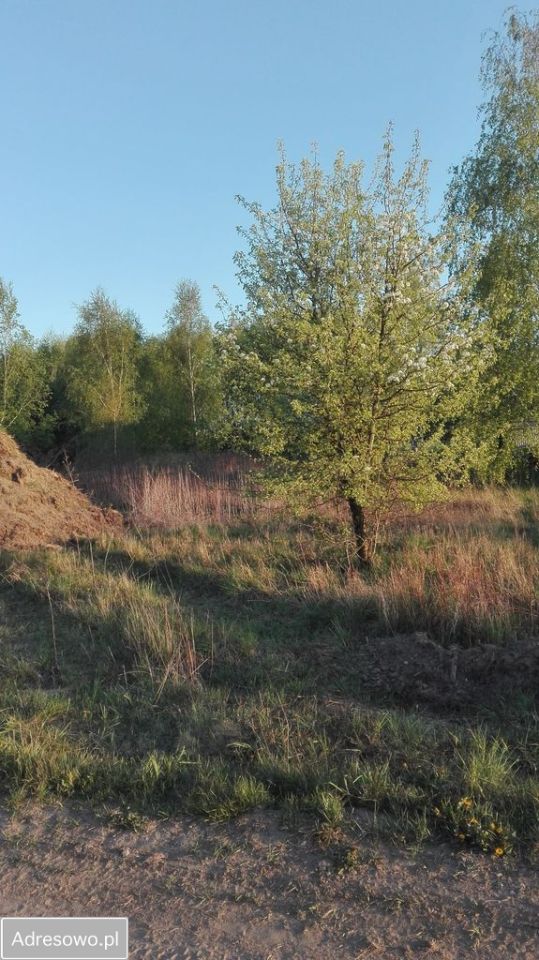 Działka rolno-budowlana Bogucin. Zdjęcie 2