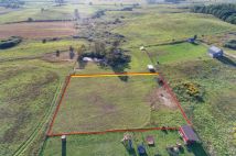 Działka rolno-budowlana Grabnik. Zdjęcie 4