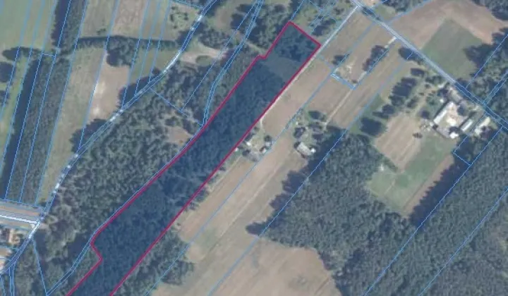 Działka leśna Przekora