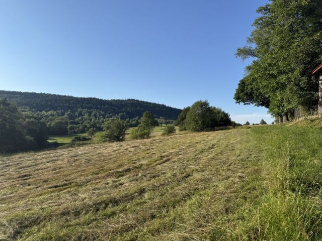 Działka budowlana Krzeszów. Zdjęcie 1