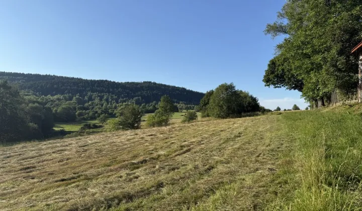 Działka budowlana Krzeszów