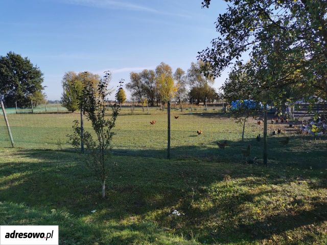 Działka Ręszów. Zdjęcie 1