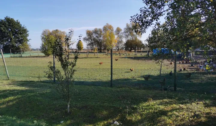 Działka Ręszów