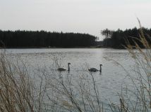 Działka budowlana Ostrowy nad Okszą Zadworze, ul. Zadworna. Zdjęcie 2