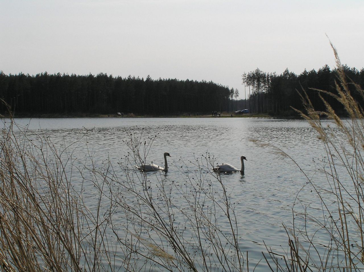 Działka budowlana Ostrowy nad Okszą Zadworze, ul. Zadworna. Zdjęcie 3