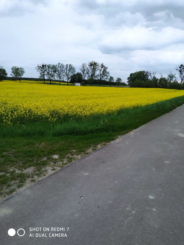 Działka budowlana Tytusin. Zdjęcie 6