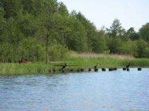 Działka siedliskowa Ostrowin. Zdjęcie 2