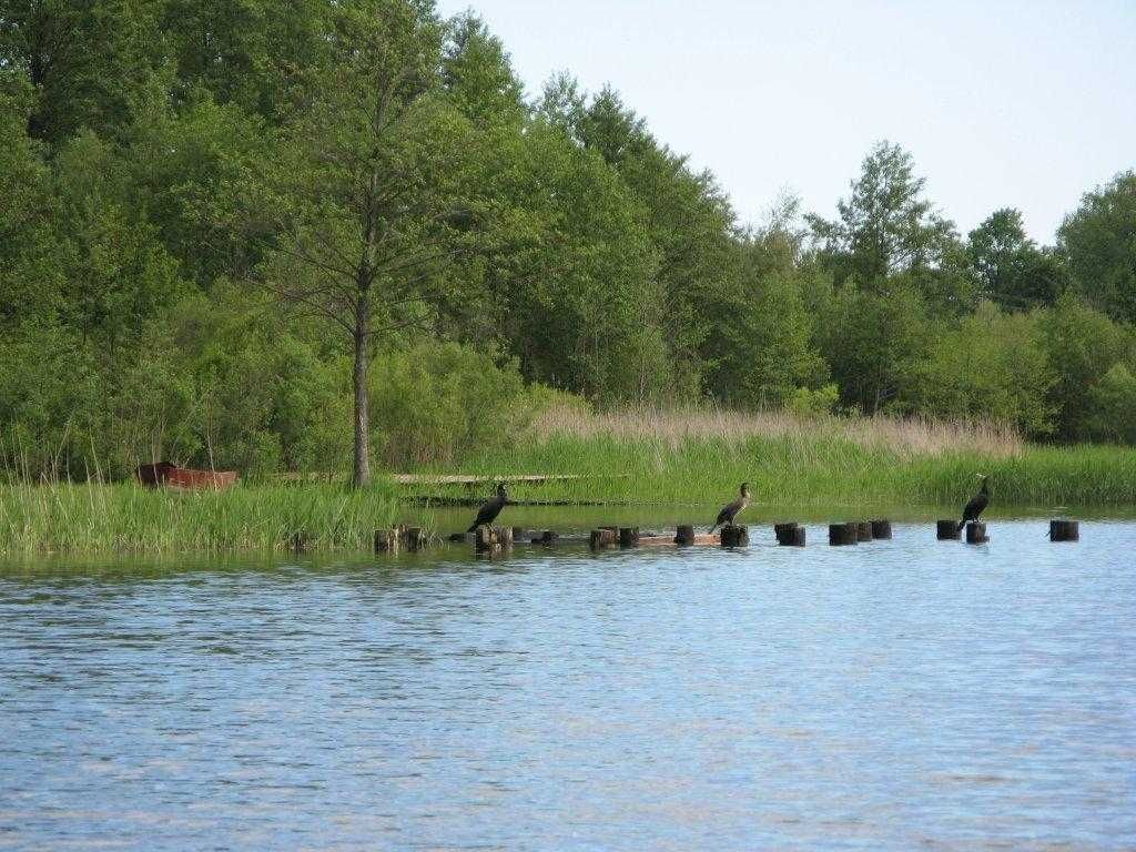 Działka siedliskowa Ostrowin. Zdjęcie 3