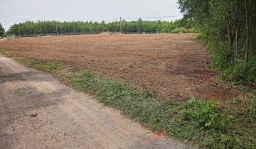 Działka rolna Płock Budy Dolne, ul. Jordanowska