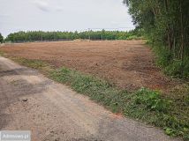 Działka rolna Płock Budy Dolne, ul. Jordanowska. Zdjęcie 1