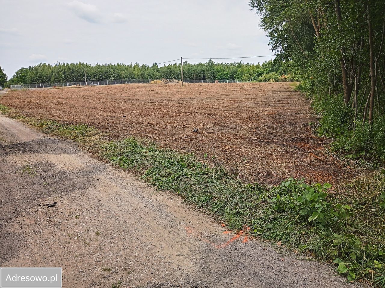 Działka rolna Płock Budy Dolne, ul. Jordanowska. Zdjęcie 2
